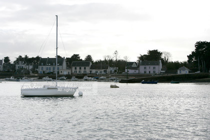 041227MORB_O8H6903 .jpg