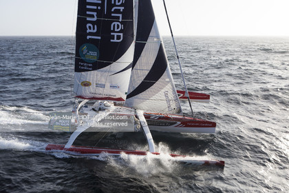 ROUTE DU RHUM 2014 - MULTI 50 FENETREA CARDINAL - ERWAN LE ROUX