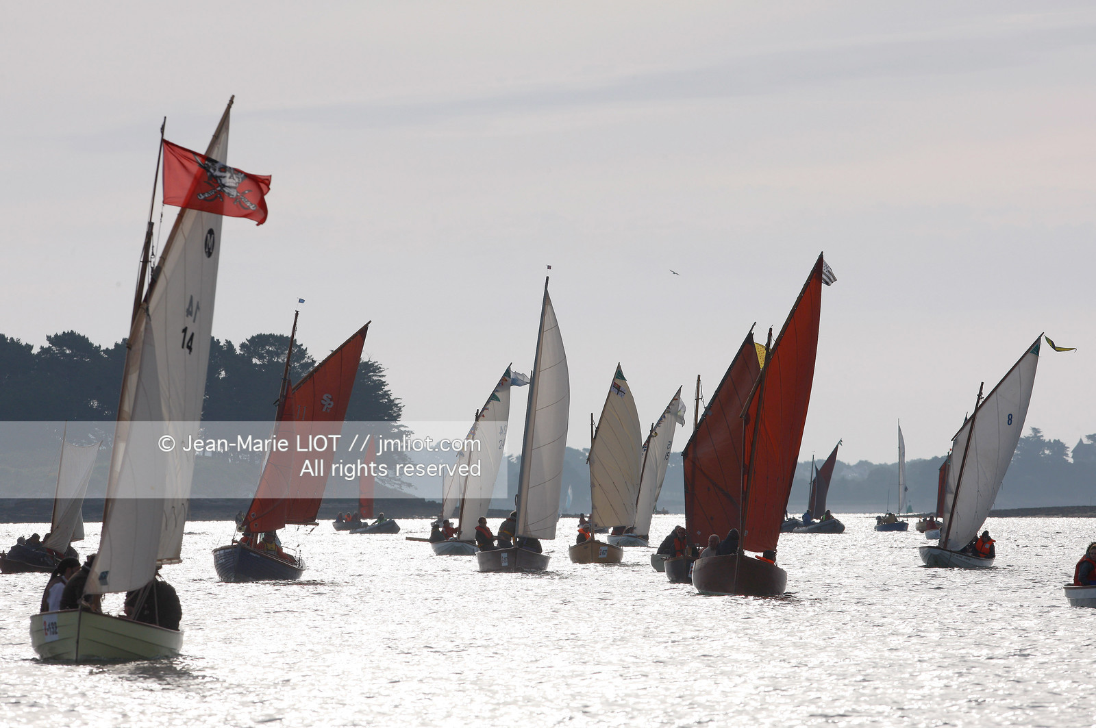 SEMAINE DU GOLFE 2009