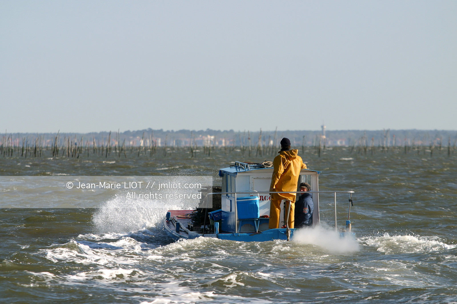 CHALANDS OSTREICOLES