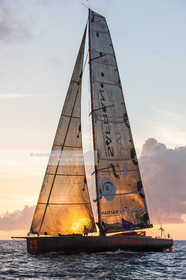 ROUTE DU RHUM 2010 - ARRIVEE DE MARC GUILLEMOT