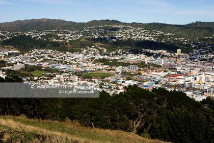WELLINGTON 2008