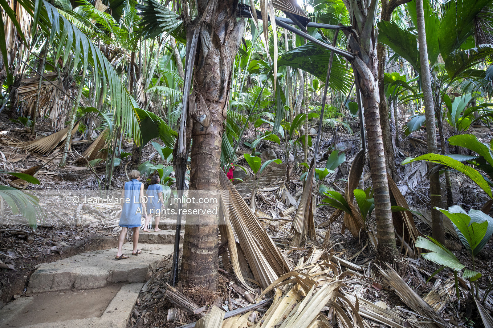 CROISIERE AUX ILES SEYCHELLES