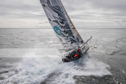 LOUIS DUC 2022 - ROUTE DU RHUM