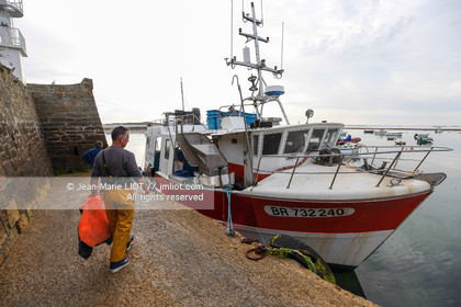 VOIILES ET VOILIERS - ILES OUBLIEES - ILE DE MOLENE