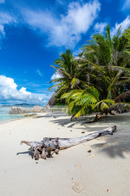 CROISIERE AUX ILES SEYCHELLES