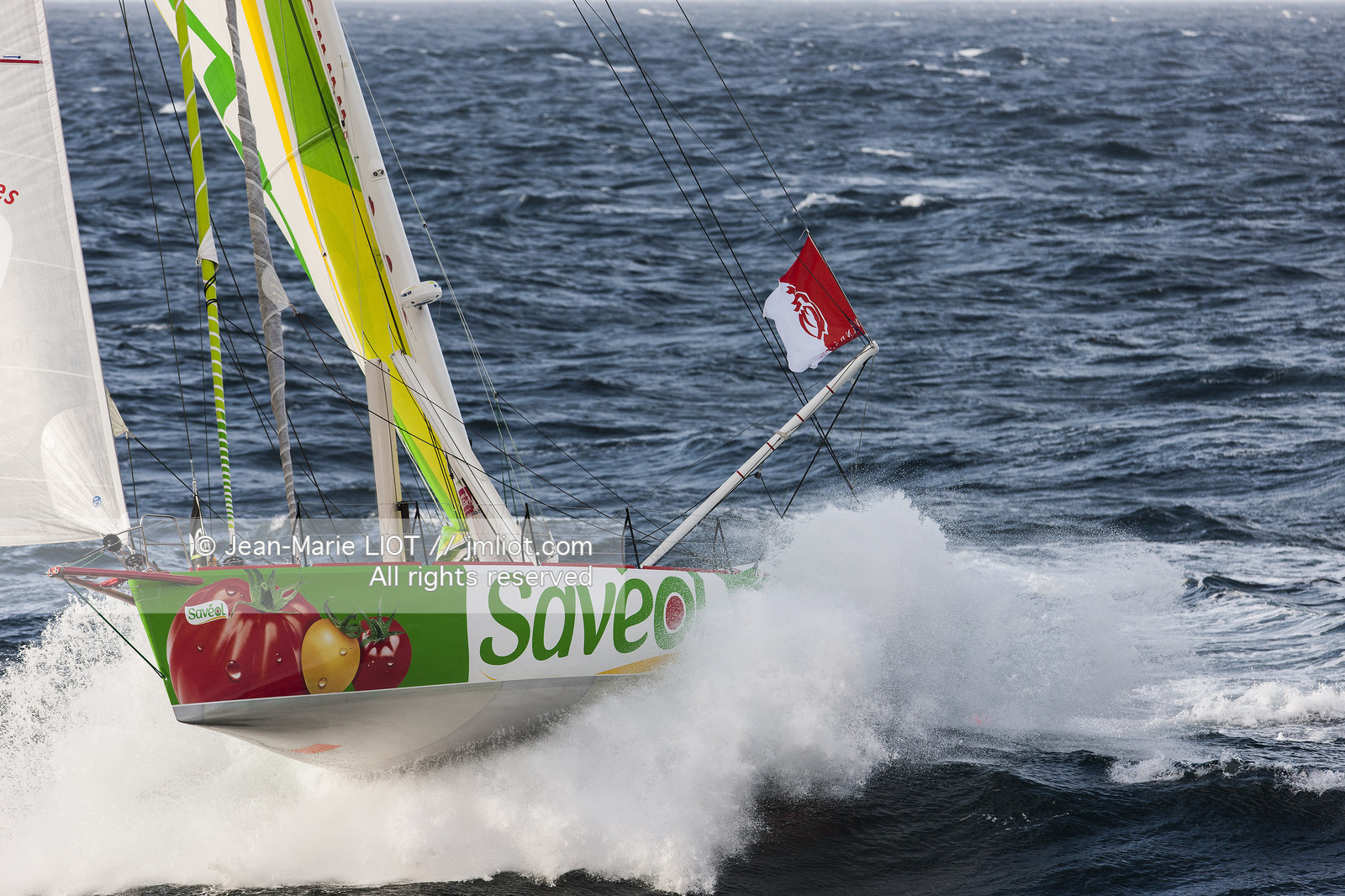 BI SAVEOL - SAM DAVIES (GB)