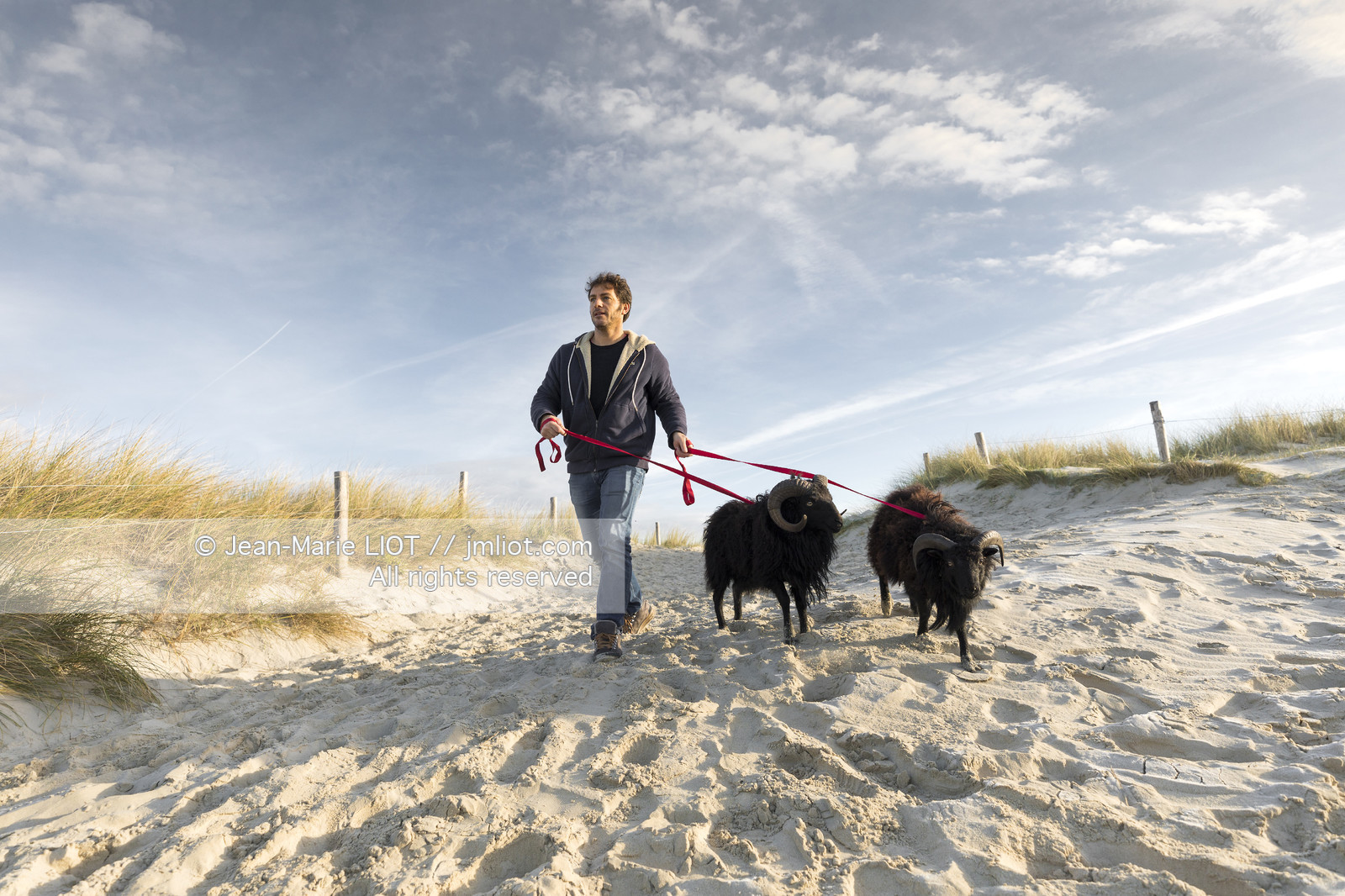 ERIC PERON - WILD LIFE