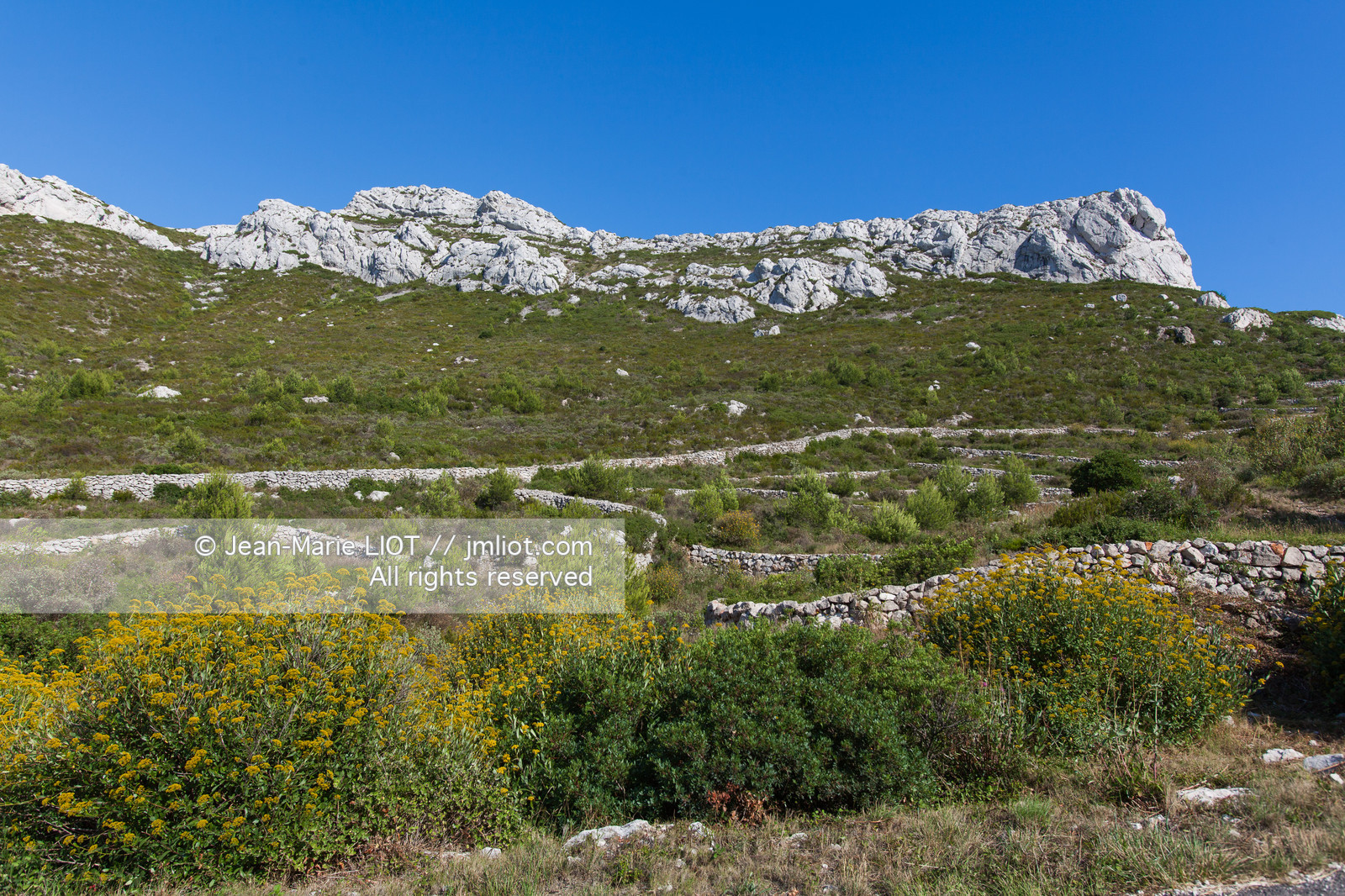 La calanque de Sormiou est située a quelques km de Marseille, l'une des seule calanques habitée elle dissimulke un petit port protégé par une digue.L'eau y est particulièremant claire et d'une grande richese en termes d'espèces animales et végétales..Photo © Jean-Marie Liot.