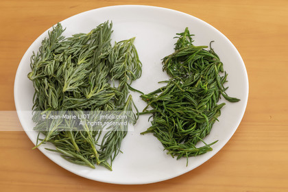 BAIE DE SOMME - 2020