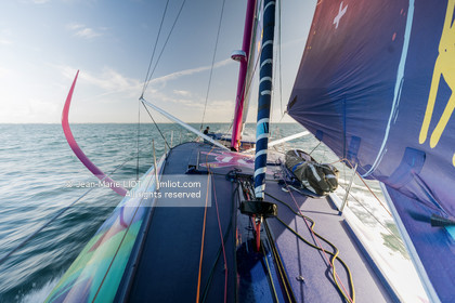 ARMEL TRIPON 2025 - LES PETITS DOUDOUS