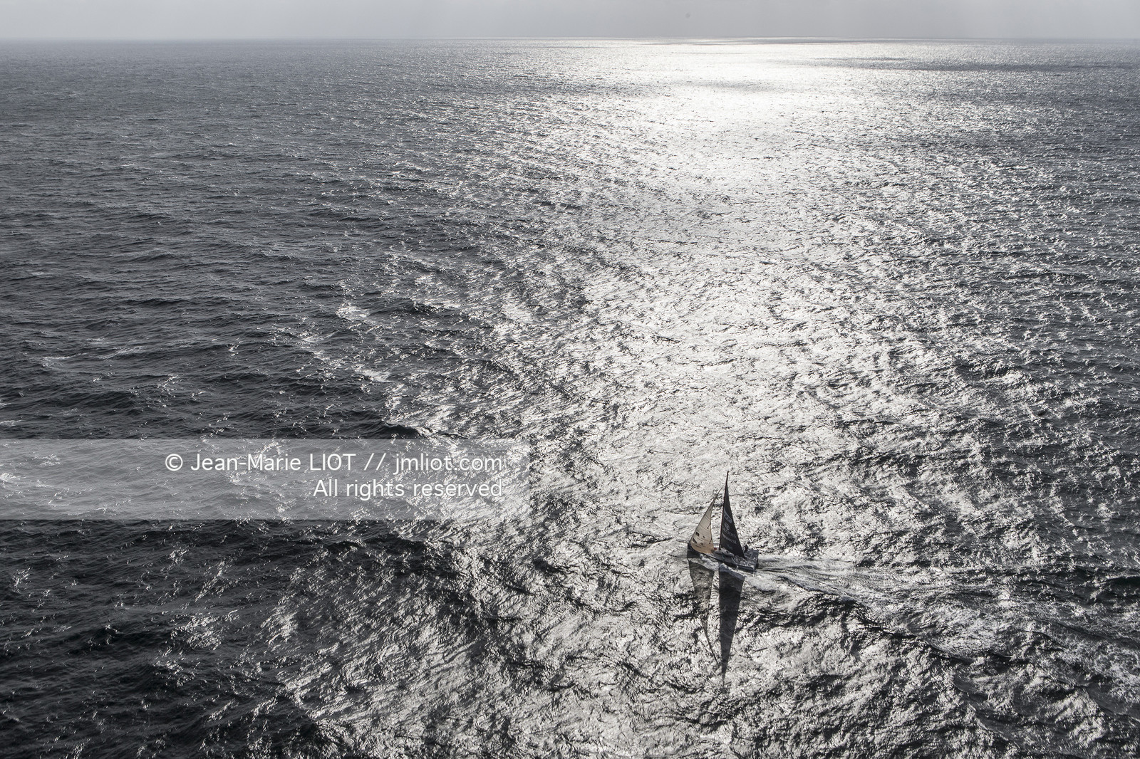 CLASS 40 SNCF GEODIS NEWREST - FABRICE AMEDEo