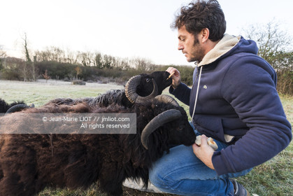 ERIC PERON - WILD LIFE