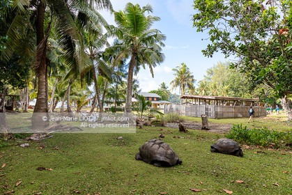 CROISIERE AUX ILES SEYCHELLES