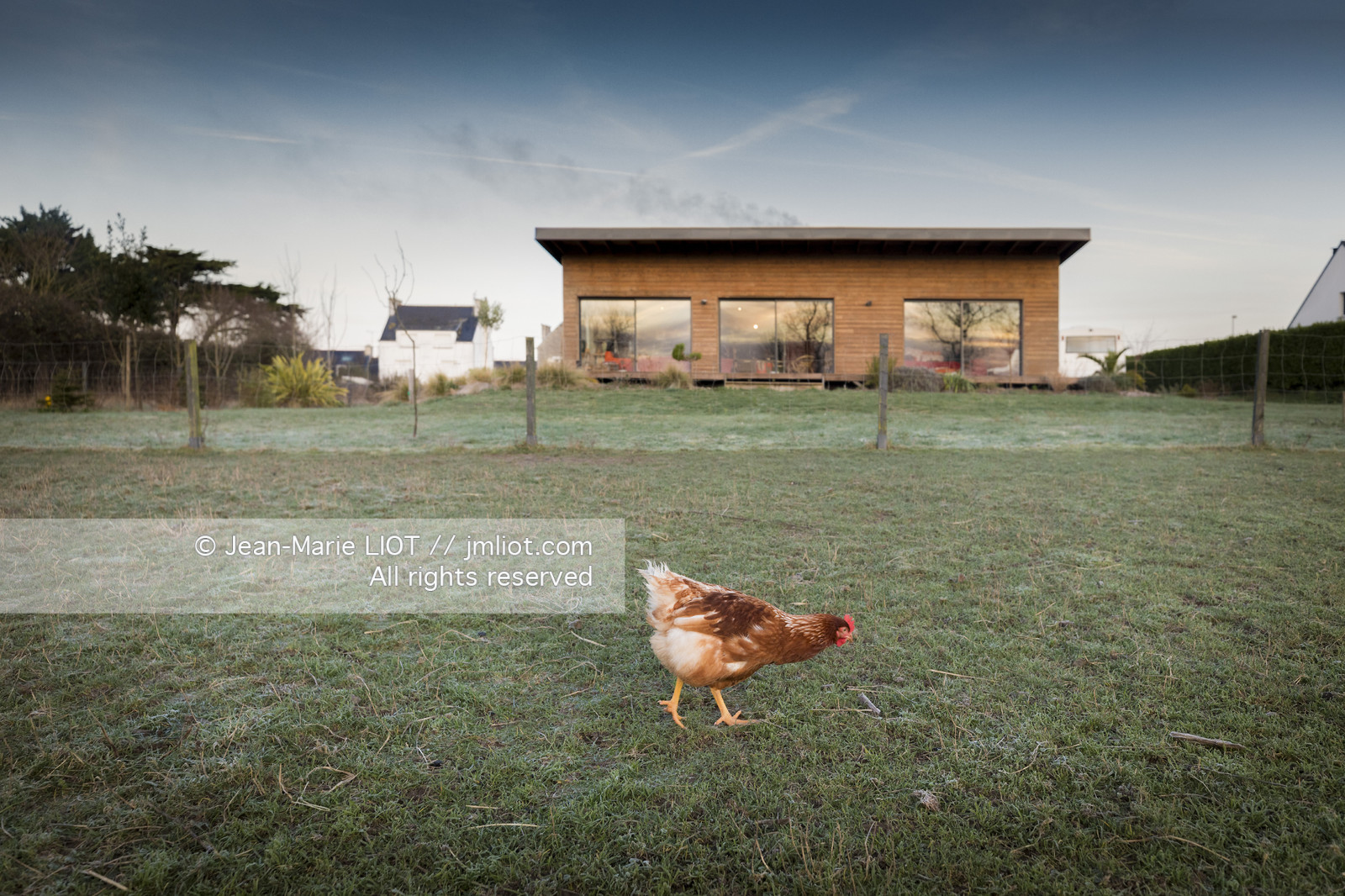 ERIC PERON - WILD LIFE