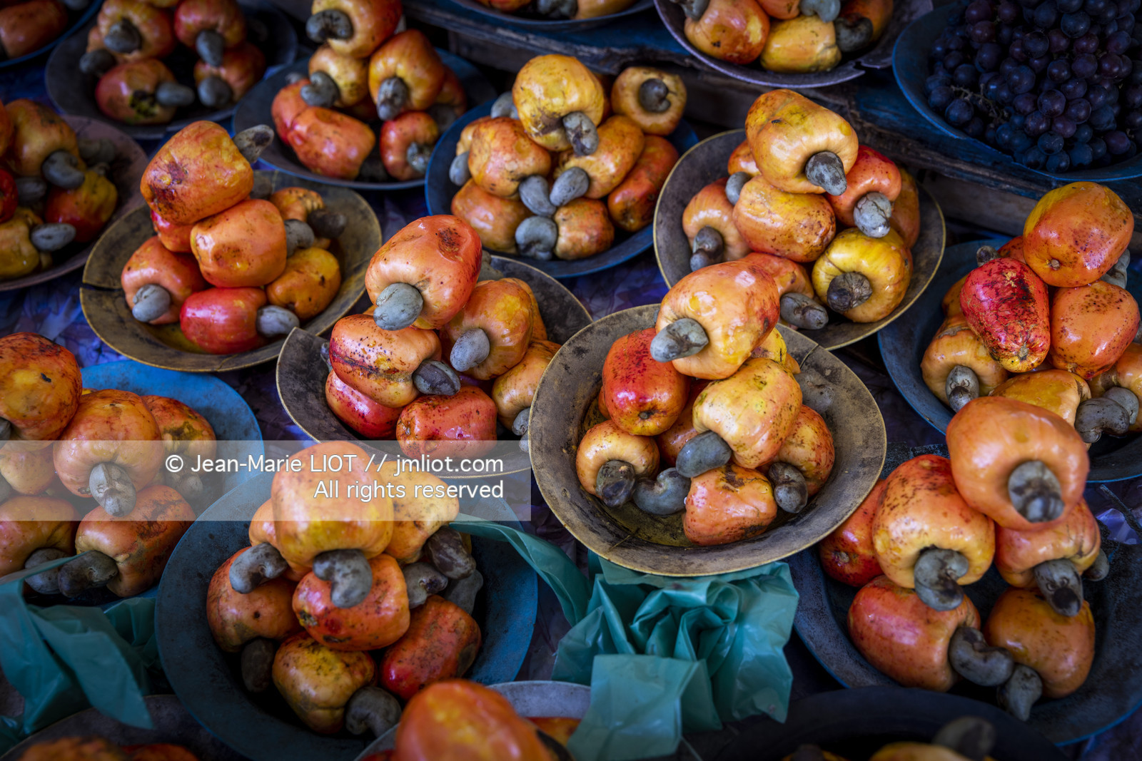 TRANSAT JACQUES VABRE 2013