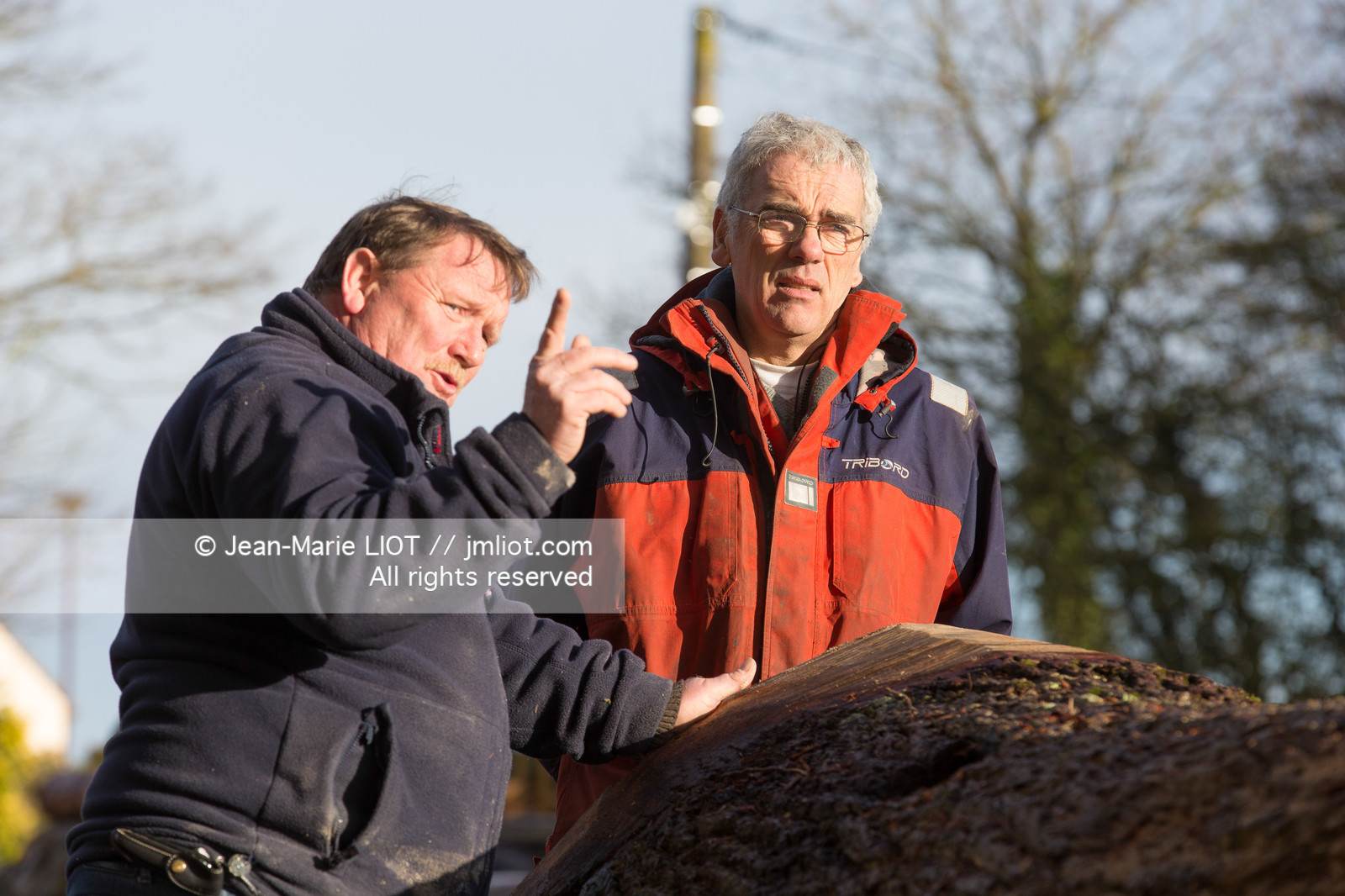 SCIERIE - DECOUPE DE BOIS