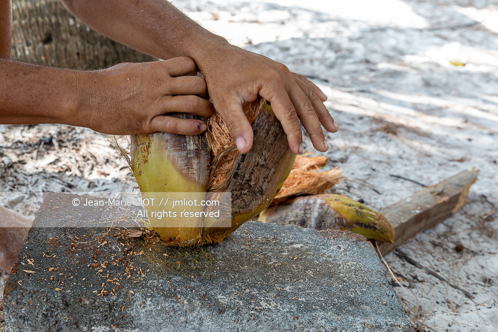 CROISIERE AUX ILES SEYCHELLES