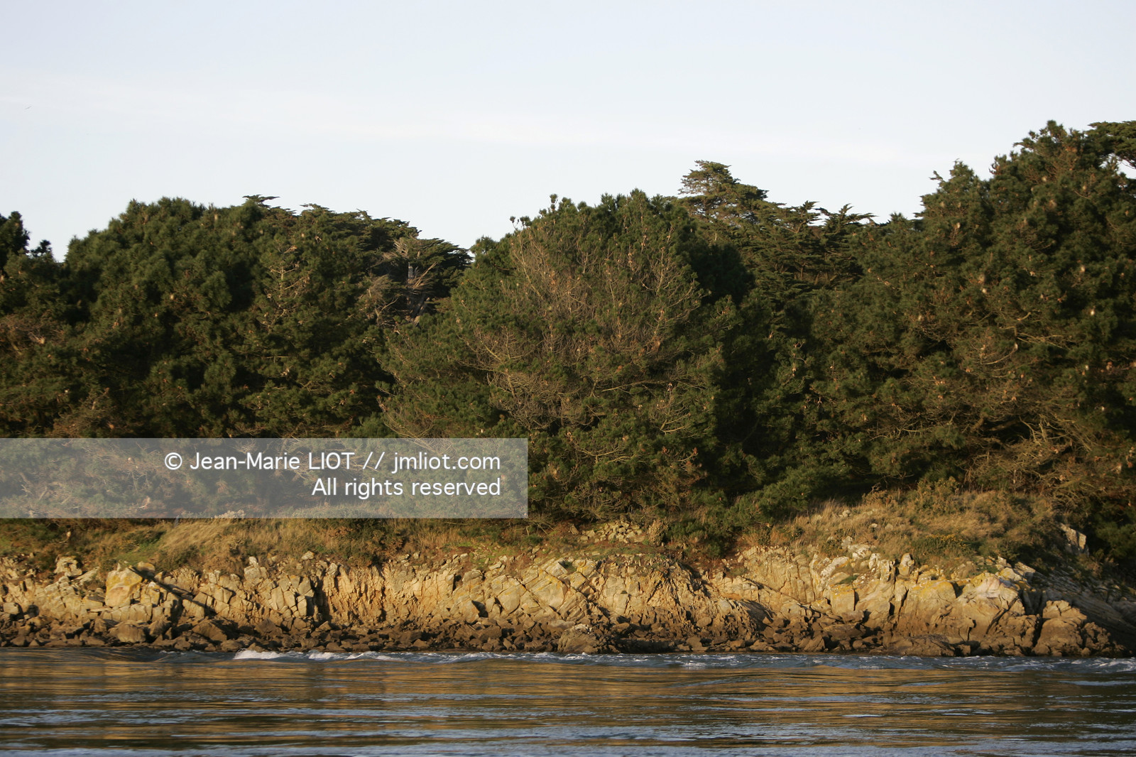 041227MORB_O8H7104 .jpg