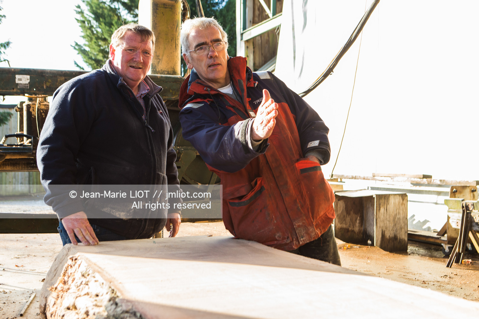 SCIERIE - DECOUPE DE BOIS