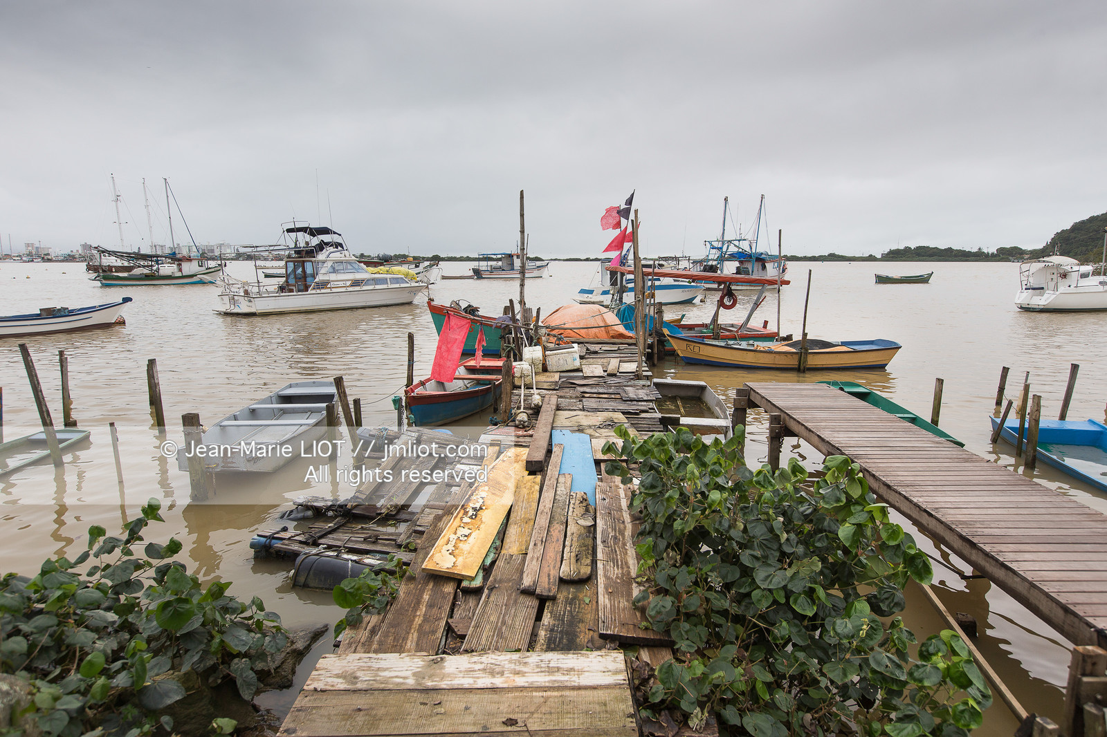 SAILING - TRANSAT JACQUES VABRE 2015 - ILLUSTRATION