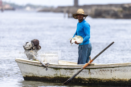 TRANSAT JACQUES VABRE 2013
