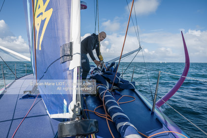 ARMEL TRIPON 2025 - LES PETITS DOUDOUS