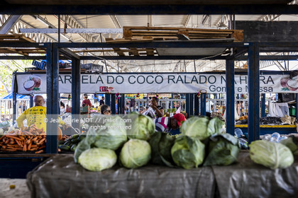 TRANSAT JACQUES VABRE 2013