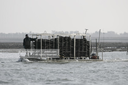 ILE DE RÉ EN HIVER