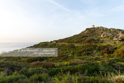 ILE DES EMBIEZ