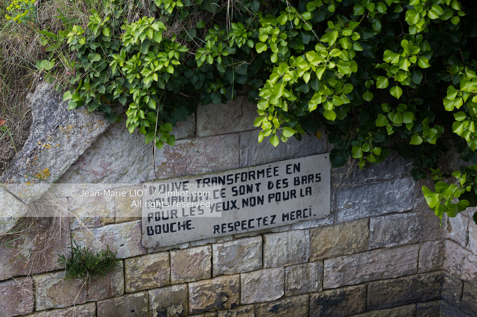 160429CHRTE_1JML6489