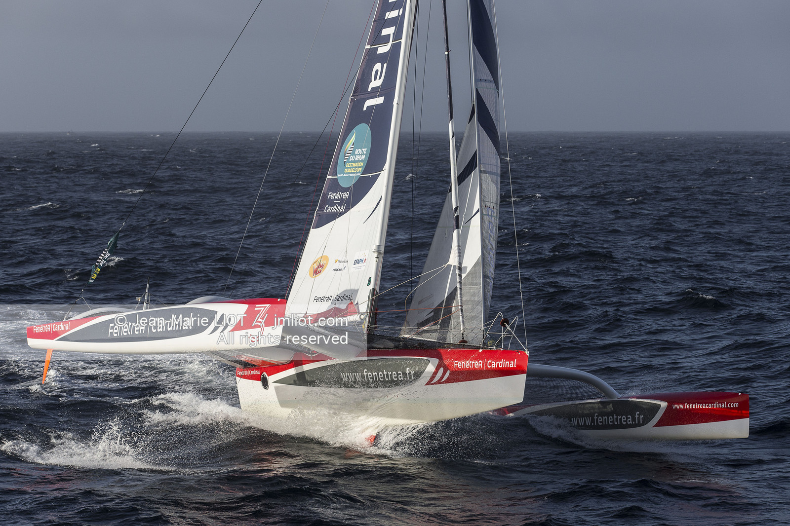 ROUTE DU RHUM 2014 - MULTI 50 FENETREA CARDINAL - ERWAN LE ROUX
