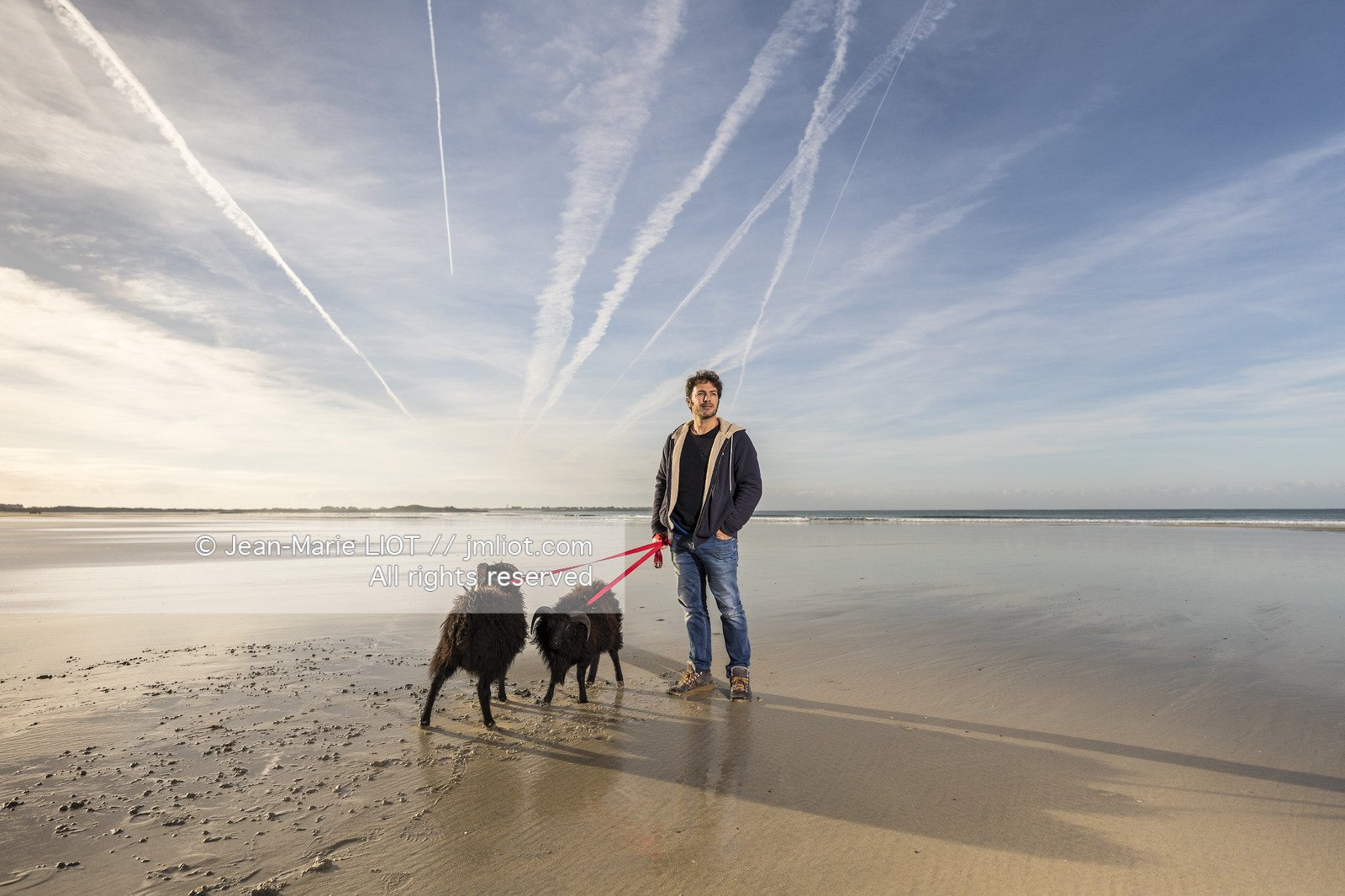 ERIC PERON - WILD LIFE