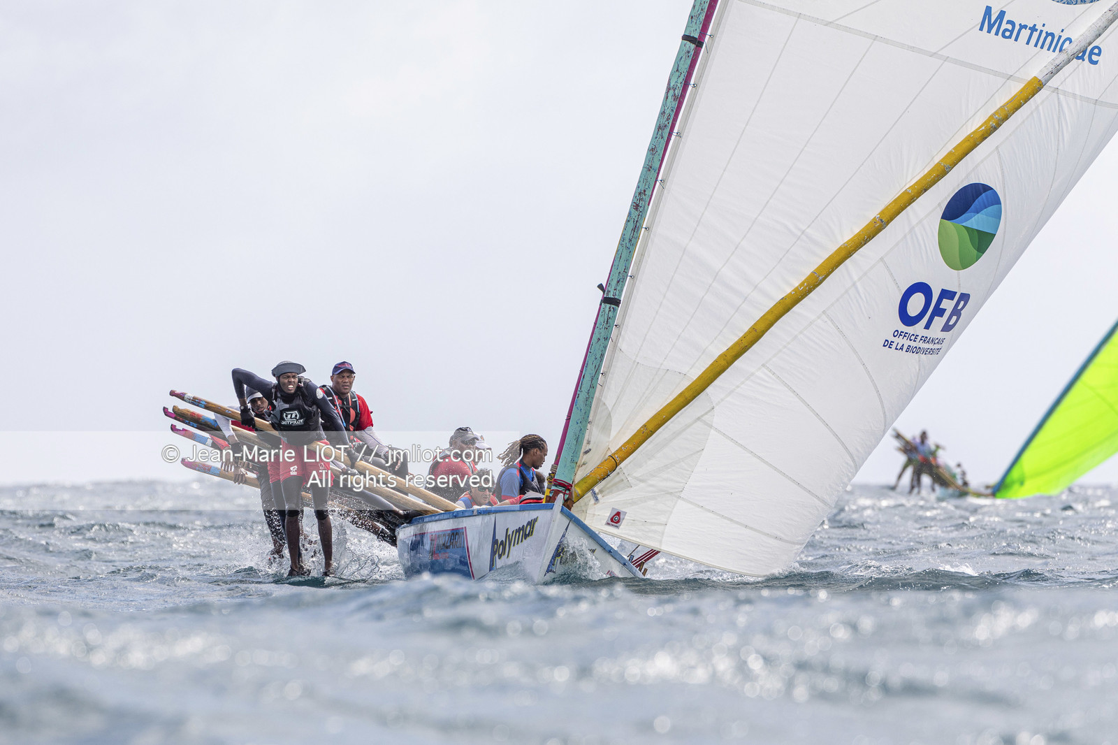 DEFI YOLES MARTINIQUE - REGATES