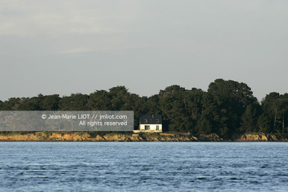 041227MORB_O8H7109 .jpg