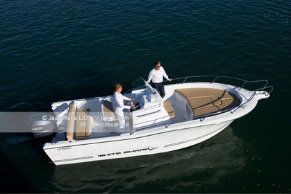 WHITE SHARK 246
