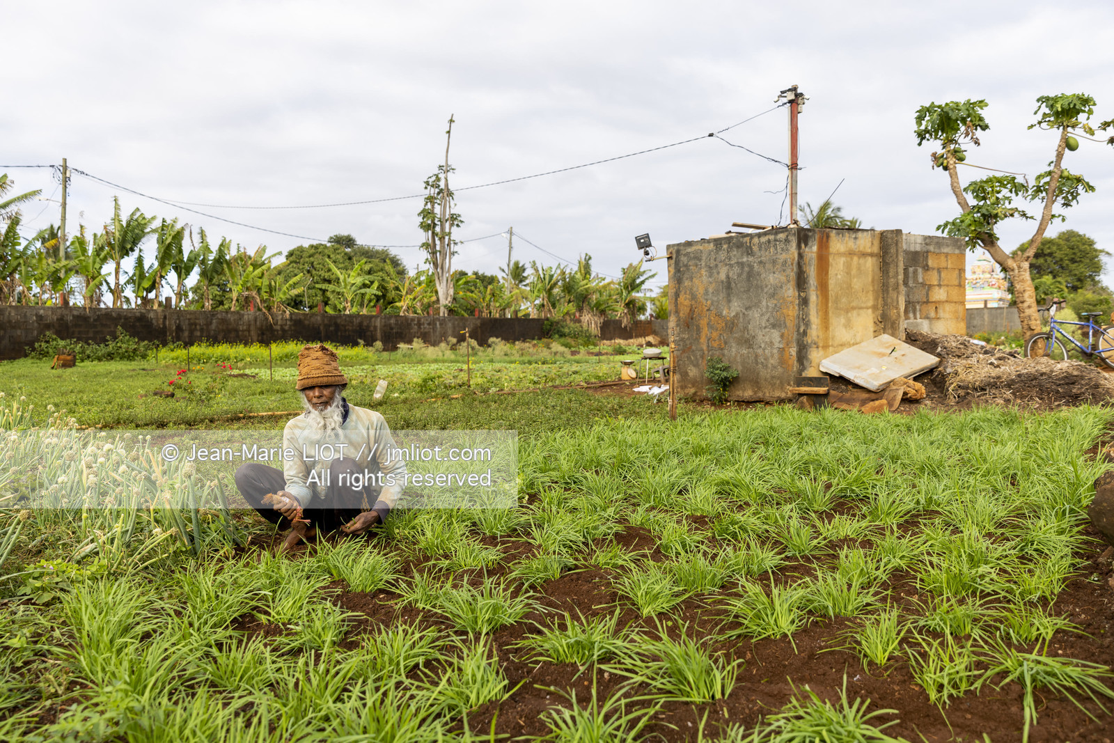 GLOBE40 - ILE MAURICE