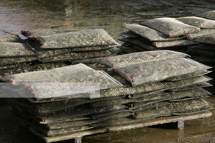 041227MORB_O8H6965 .jpg