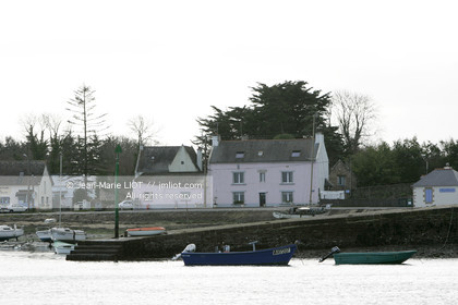 041227MORB_O8H6907 .jpg