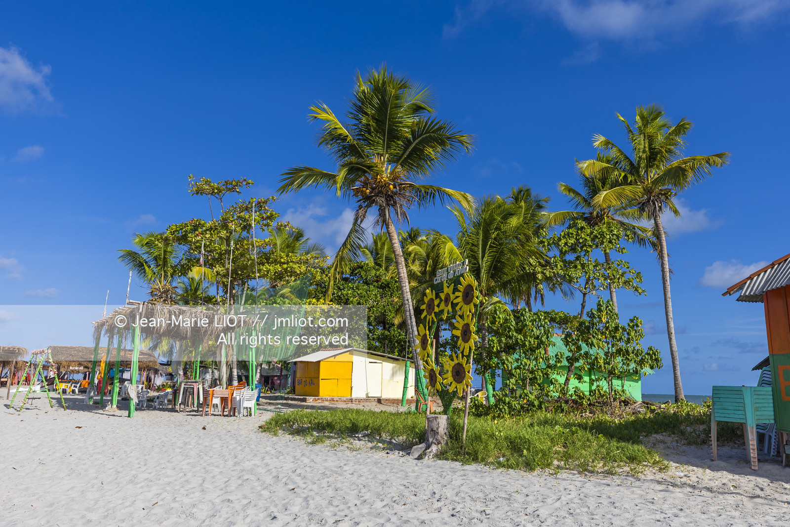 GLOBE40 - ILE DE COROA DO AVIAO