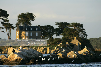 041227MORB_O8H7114 .jpg