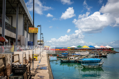 SALVADOR DE BAHIA-FOIRE DE SAO JOAQUIM