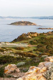 ILE DES EMBIEZ