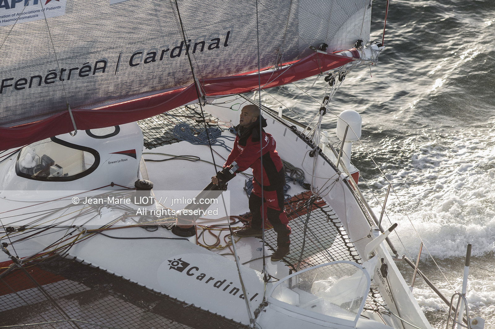 ROUTE DU RHUM 2014 - MULTI 50 FENETREA CARDINAL - ERWAN LE ROUX