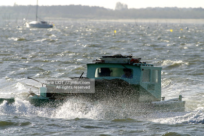 CHALANDS OSTREICOLES