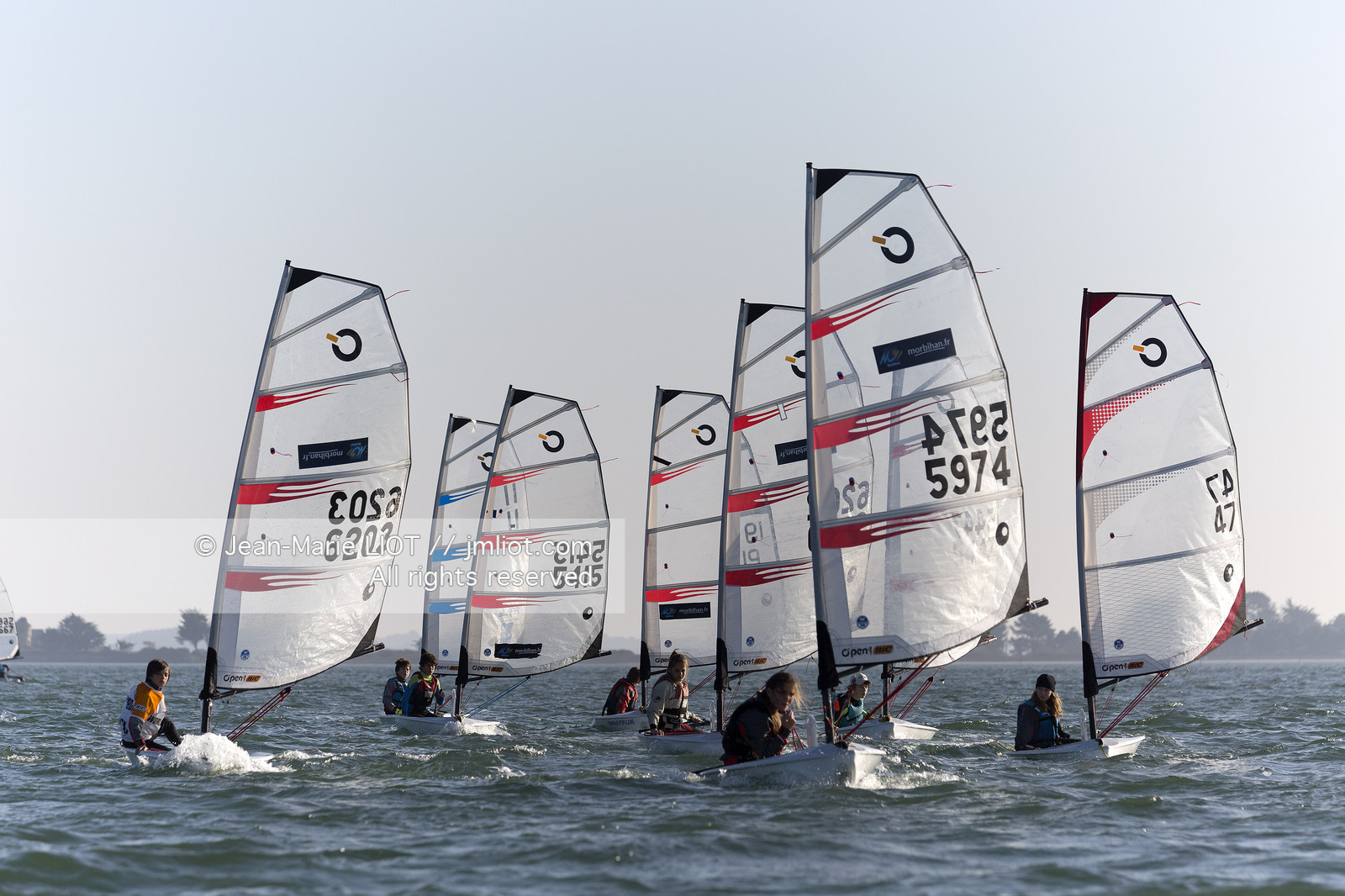 REGATE DANS LE GOLFE DU MORBIHAN