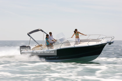 WHITE SHARK 226