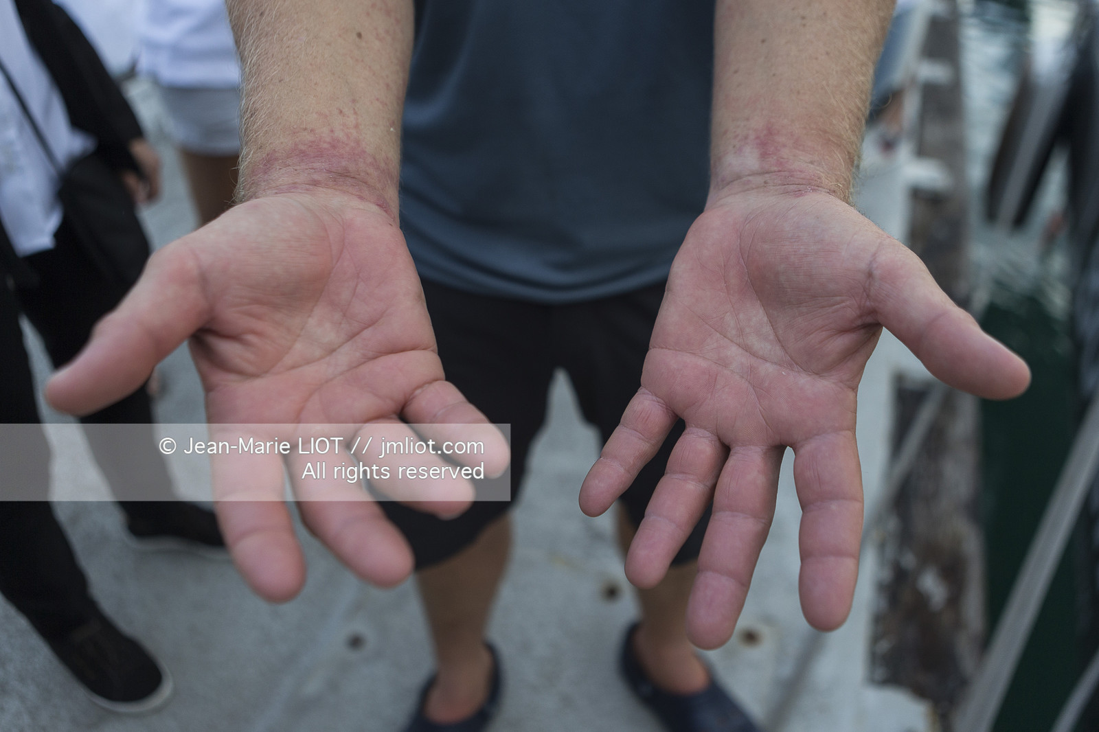 TRANSAT JACQUES VABRE 2017 - ARRIVEE