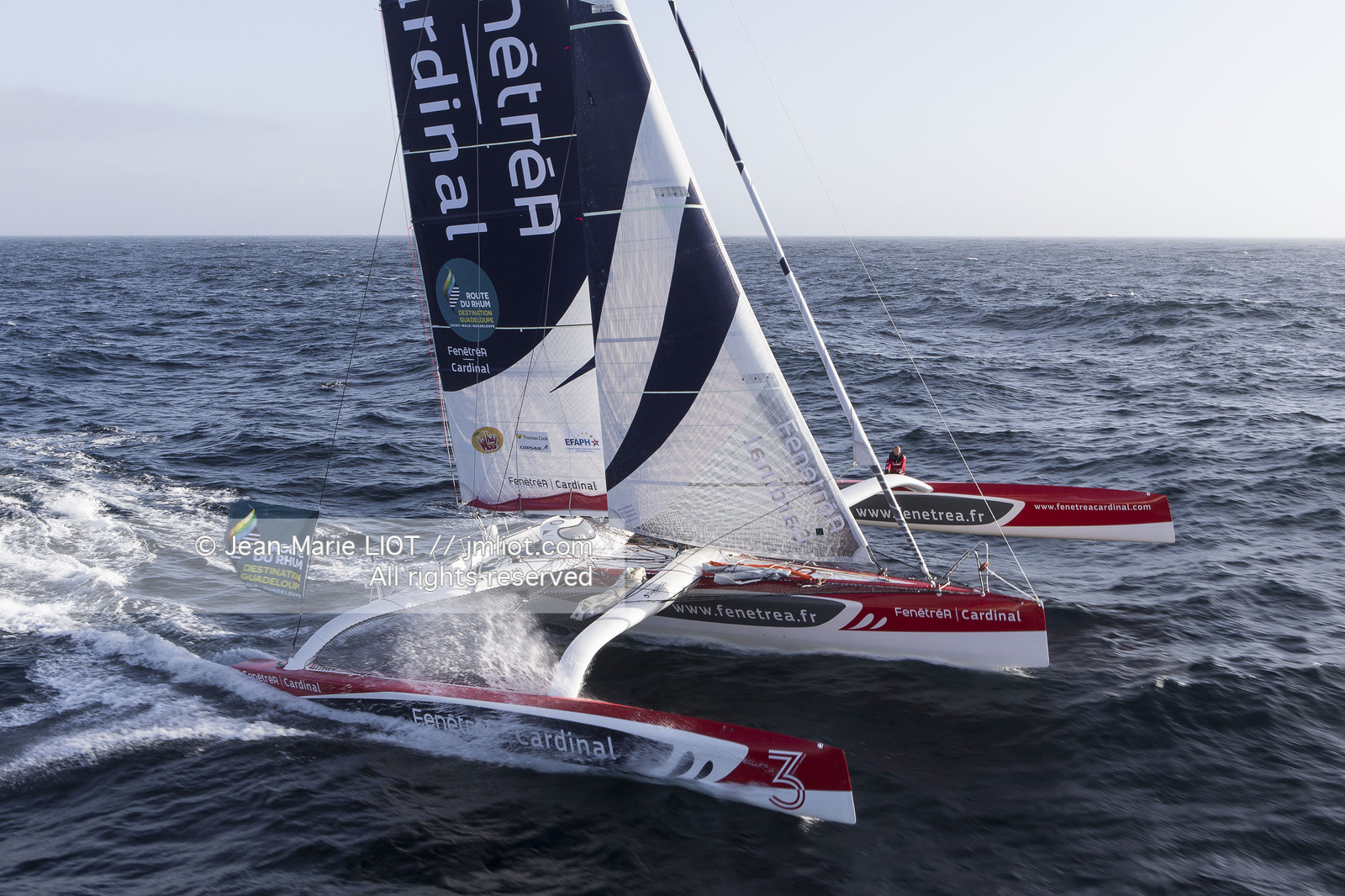 ROUTE DU RHUM 2014 - MULTI 50 FENETREA CARDINAL - ERWAN LE ROUX