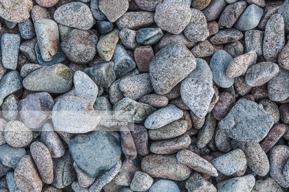 France, Côtes d'Armor (22), Côte de Granit Rose, Plougrescant, Ile d'Er    France, Côtes d'Armor (22),  Côte de Granit Rose, Plougrescant, Er Island